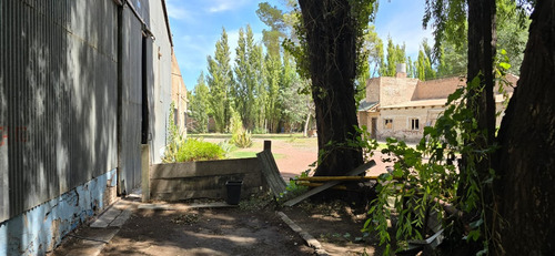 Galpón 1000 M2 C/ Ofi Y Baño - Centenario