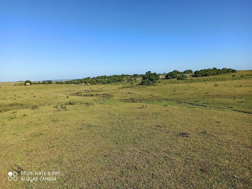 Se Venden 236 Hectáreas, Sobre Ruta 7, Entre Batlle Y Ordóñez Y Valentines. Campo De Sierra, Con Aptitud Ganadero Forestal.