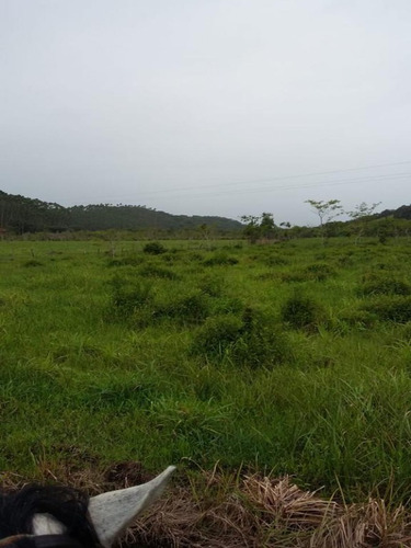 Imagem 9 de 12 de Fazenda 157 Alqueires Em Sete Barras-sp