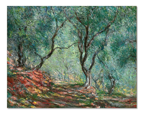 Cuadro Árbol De Olivo En El Jardín Moreno Monet Lienzo 67x54