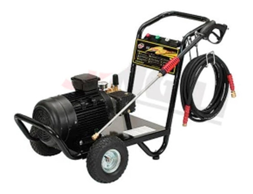 Hidrolavadora 10hp Industrial Profesional 3fases 3600psi Usr