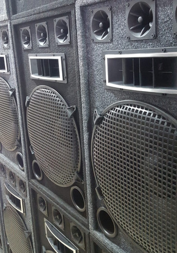 Imagen 3 de 10 de Bafle 15 Profesional 3 Vias 450w Bornera Manija