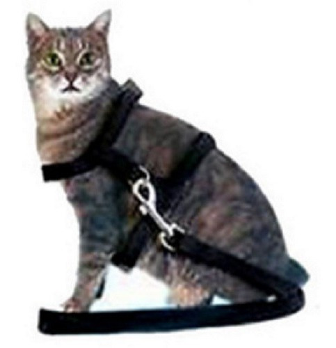 Imagem 2 de 4 de Conjunto Guia E Peitoral Para Gatos E Pequenos Animais