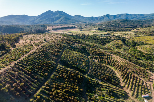 Cumbres De Aurora