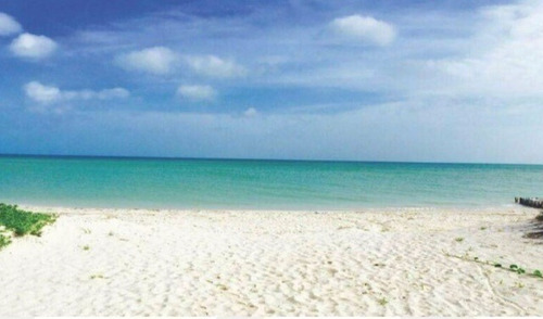 Terreno En Chicxulub Puerto A 100 Mts De La Playa, Entrega I