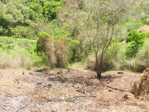 Imagen 3 de 8 de Se Vende Terreno 555m2 Colinas De Caicaguana 0780