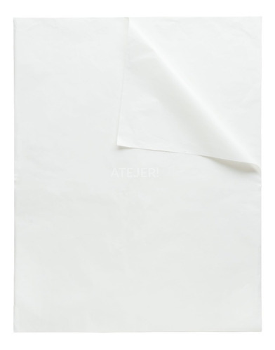 Papel Carbónico Modista 44x56 Marca Cbx Por 25 Unidades