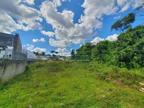 Área À Venda, 5053 M² Por R$ 1.350.000,00 - Tingui - Curitiba/pr - Ar0001