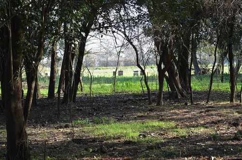Imagen 14 de 17 de Terreno Para Empredimiento Manzanares 15 Hectareas