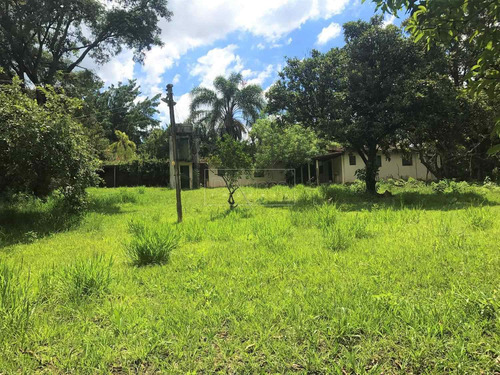 Imagem 12 de 14 de Chácara À Venda Em Chácaras Bocaiúva Nova - Ch058919