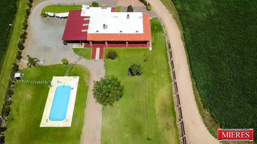 Imagen 15 de 24 de 140 Has En Montevideo Rural - Mieres Vende Atm4408 (ref: Atm-4408)
