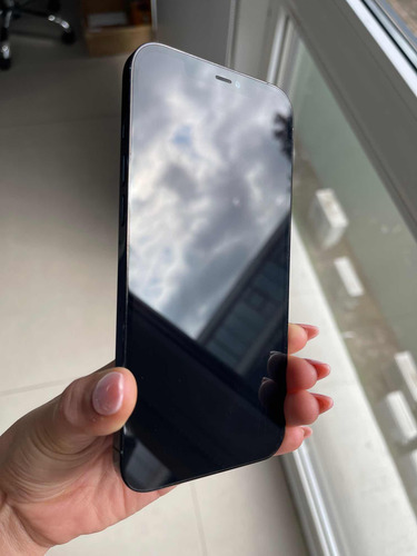 iPhone 12 Pro Max De 256 Gb -azul (Reacondicionado)
