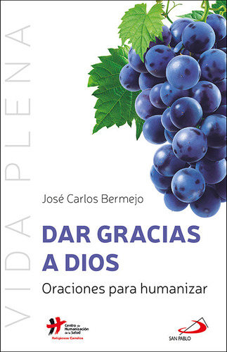 Libro Dar Gracias A Dios - Bermejo Higuera, Jose Carlos