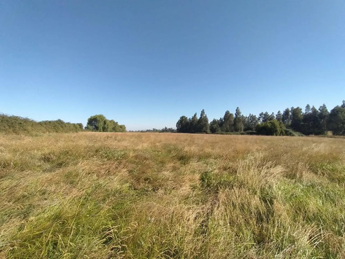 Terreno Agrícola En Venta, Campo De 60 Ha, Teno