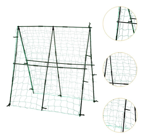 Cucumber En Trellis Resistente Para Plantas De Trepadora De