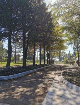 Imagen 2 de 18 de Terreno - Nueva Zelaya