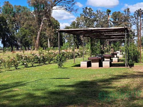 Imagen 5 de 18 de Oferta - Venta Lote En Tres Pinos - Gral. Rodriguez.