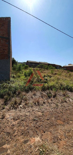Imagem 3 de 4 de Terreno De 248 Metros Sendo 8 X 31 - Aceita Vaca Leiteira - 11000