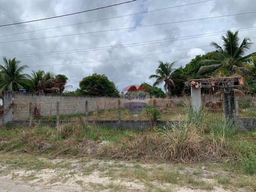 Imagem 8 de 12 de Terreno À Venda, 620 M² - Ponta De Pedras - Goiana/pe - Te0277