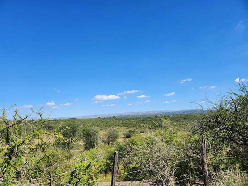 Venta Campo 9 1/4 Hectáreas- Villla Parque Siquiman (punilla).