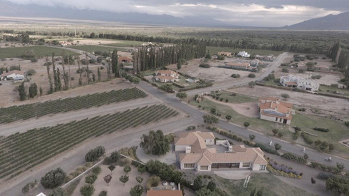 Terreno - Cafayate