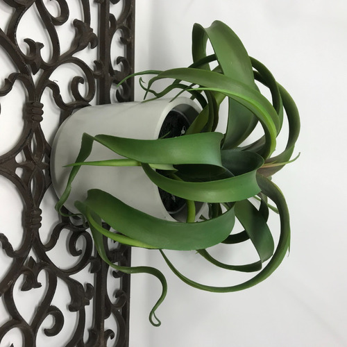 Planta Tillandsia Artificial Con Maceta Decorativa Concreto