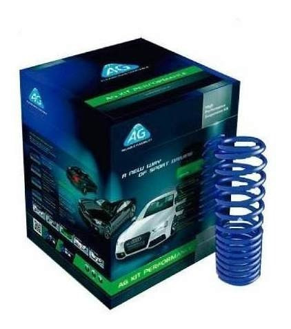 Kit X2 Espirales Resortes Progresivos Renault Clio Mio 08/13