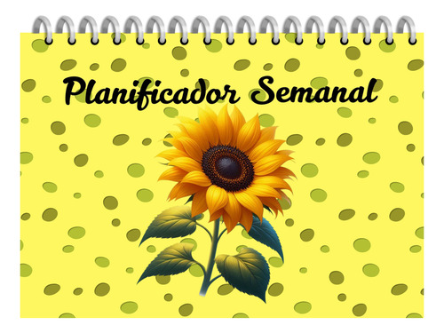 Kit Imprimible +40 Planners A4 +pdf + Editables Arcoiris
