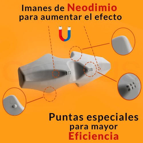 Cordus Dolor Ciático Hernias Escoliosis Lumbalgia Postura