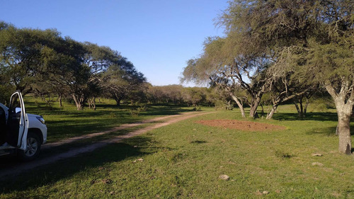 Imagen 7 de 9 de Venta Campo - Zona Talita - Concepcion Del Uruguay