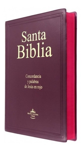 Biblia Rv 1960 Letra Gigante Vinil Negro Azul Café