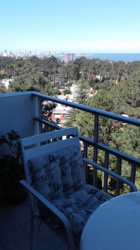 Apartamento 1 Dormitorio Y 1 Baño. Vista Al Mar. Reciclado