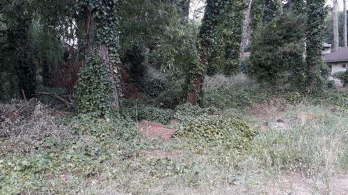Imagen 2 de 9 de Terreno Con Proyecto En Carilo