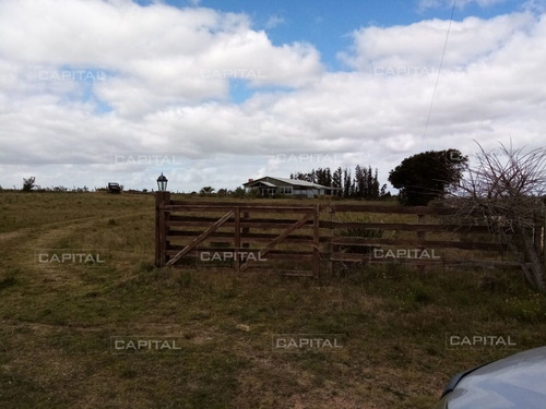 Imagen 13 de 19 de Chacra En Venta De 5 Hectáreas Con Tajamar Y Casa - San Carlos San Carlos