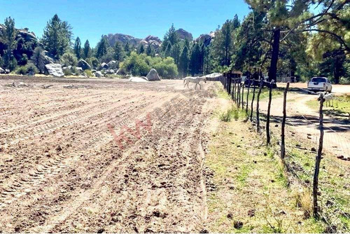 Valle Del Pinal En La Sierra Juarez A 7 Min. De La Laguna Hanson!! ¿buscas Un Espacio Ideal Par...