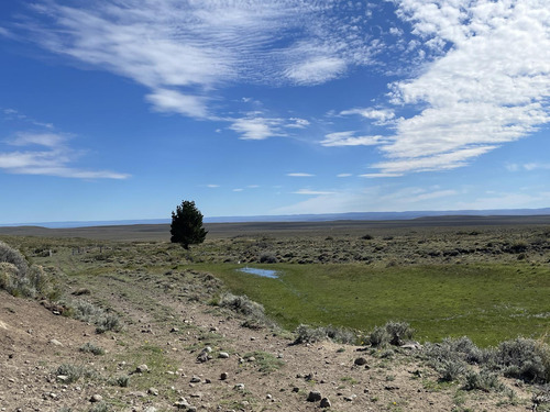 Campo En Perito Moreno