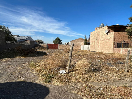 Re/max Vende Galpón En Allen.