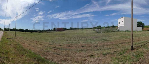 Imagen 19 de 30 de 147 Y 486 Lote En Venta, En Fincas Gorina.-