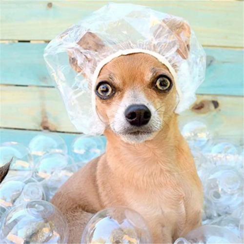 100 Gorros De Ducha De Baño Desechables, Impermeables, Extra