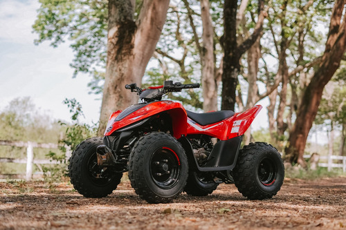 Quadriciclo Infantil Cforce 110lv