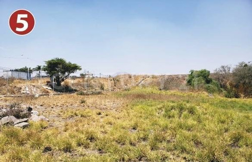Imagen 11 de 16 de Terreno En Venta De 1.6 Hectáreas En San Sebastián, El Grande, Tlajomulco