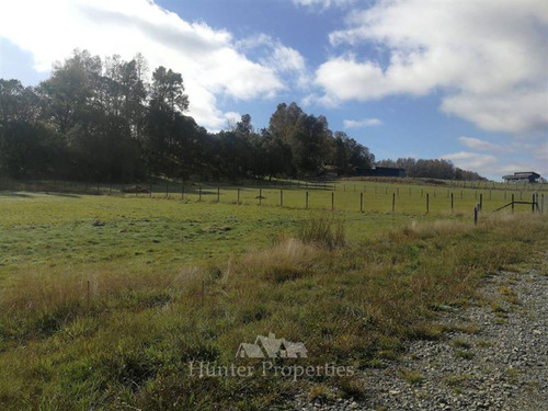 Venta Parcela De 5000mtrs2, Villarrica- Ñancul, Los Nogales