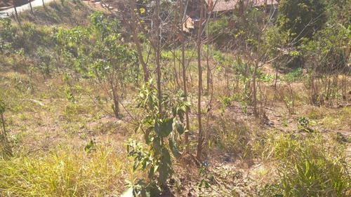 Lote Para Venda Em Ribeirão Das Neves, Santinho - L33_1-1021474