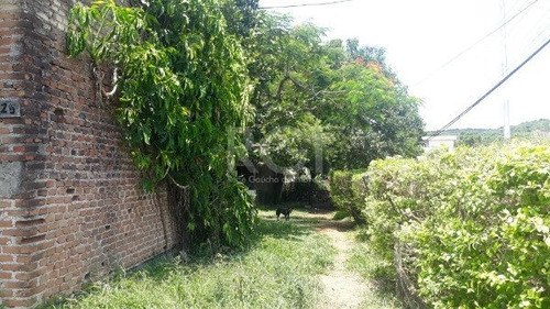 Terreno Em Tristeza - Mi270478