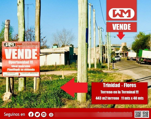 Venta Terreno En Trinidad Flores 443m2 Terminal Y Ruta 3