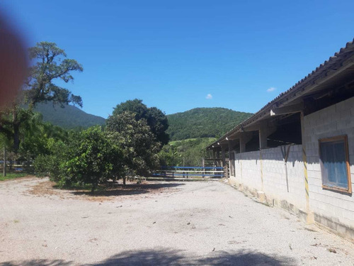 Imagem 12 de 13 de Chácara Em Guarda Do Cubatão, Palhoça/sc De 56m² 3 Quartos À Venda Por R$ 1.700.000,00 - Ch2330854-s