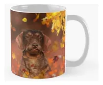 Comprar Taza X4 Camiseta De Perro Salchicha Para Dueños De Perros Ca