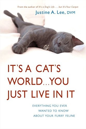 Its A Cats World    You Just Live In It Everything You Ever 