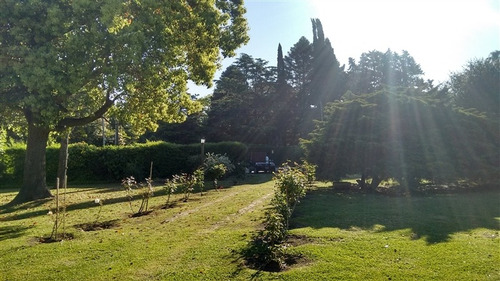 Imagen 5 de 14 de Quinta Barrio El Trebol - Ezeiza Venta Con 2 Casas Y Pileta