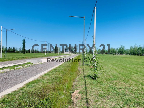 Imagen 9 de 11 de Terreno De 392 M2 En Pinares Del Sur - Piñero